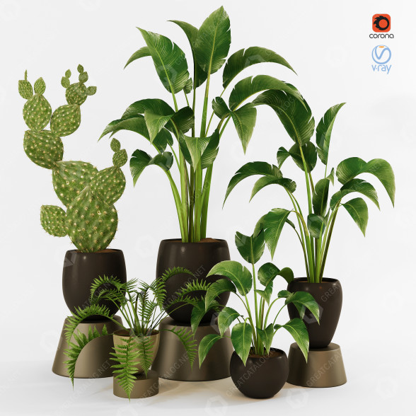 Plantes en pot Ensemble d'Intérieur 69 modèle 3D