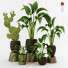 Plantes en pot Ensemble d'Intérieur 69 - uniquevry