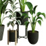 Plantes en pot Ensemble d'Intérieur 71 - uniquevry