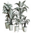 Plantes en pot Ensemble d'Intérieur 71 - uniquevry
