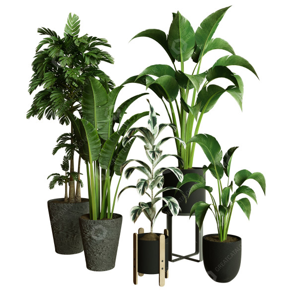 Plantes en pot Ensemble d'Intérieur 71 modèle 3D