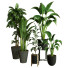 Plantes en pot Ensemble d'Intérieur 71 - uniquevry