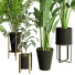 Plantes en pot Ensemble d'Intérieur 75 - uniquevry