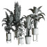 Plantes en pot Ensemble d'Intérieur 75 - uniquevry