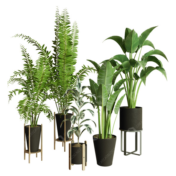 Plantes en pot Ensemble d'Intérieur 75 modèle 3D