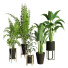 Plantes en pot Ensemble d'Intérieur 75 - uniquevry