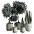 Plantes en pot Ensemble d'Intérieur 77 - uniquevry