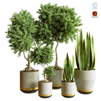 Plantes en pot  Ensemble d'Intérieur 77 Modèle 3D