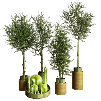 Plantes en pot  Ensemble d'Intérieur 76 Modèle 3D