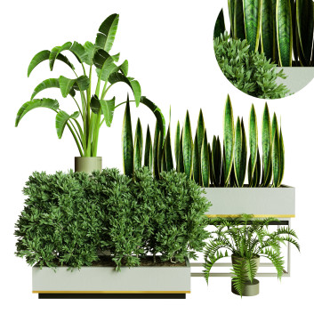 Plantes en pot  Ensemble d'Intérieur 78 Modèle 3D