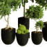 Plantes en pot Ensemble d'Intérieur 81 - uniquevry