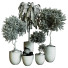 Plantes en pot Ensemble d'Intérieur 81 - uniquevry