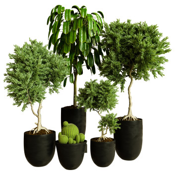 Plantes en pot  Ensemble d'Intérieur 81 Modèle 3D