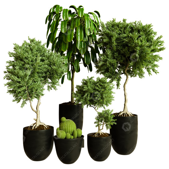 Plantes en pot Ensemble d'Intérieur 81 modèle 3D
