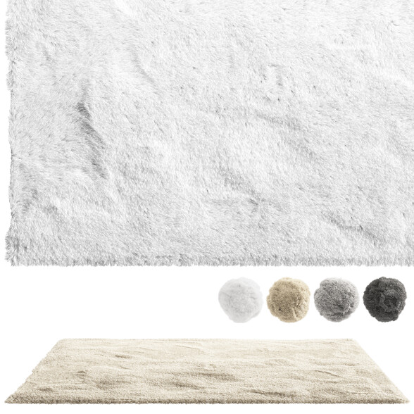 Carpet nuLOOM Shaggy Area 3D model