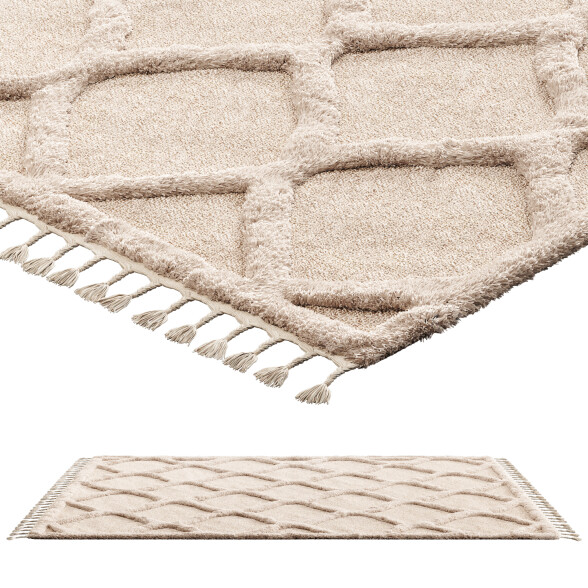 Teppichboden nuLOOM Ogee Trellis 3D-Modell