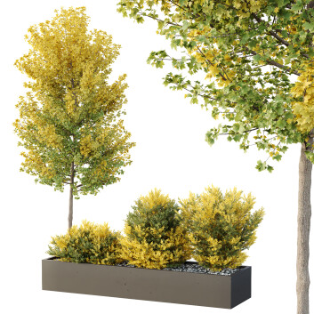Árbol y arbustos HQ Caja de Jardín Exterior Volumen 42
