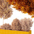 Árbol y arbustos HQ Caja de Jardín Exterior Volumen 42 - Pandora-land