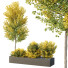 Árbol y arbustos HQ Caja de Jardín Exterior Volumen 42 - Pandora-land