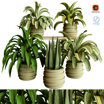 Plantes en pot  Ensemble d'Intérieur 83 Modèle 3D