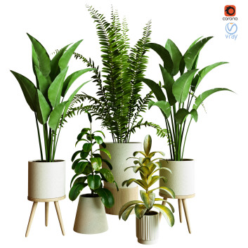 Plantes en pot  Ensemble d'Intérieur 85 Modèle 3D