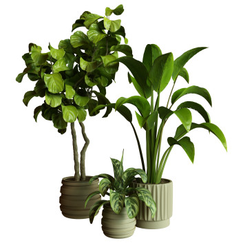 Plantes en pot  Ensemble d'Intérieur 86 Modèle 3D