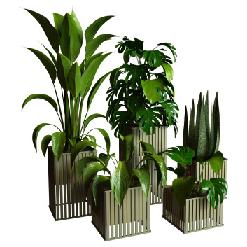 Plantes en pot  Ensemble d'Intérieur 88 Modèle 3D