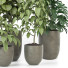 Plantes en pot Ensemble d'Intérieur 99 - uniquevry