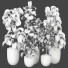 Plantes en pot Ensemble d'Intérieur 99 - uniquevry
