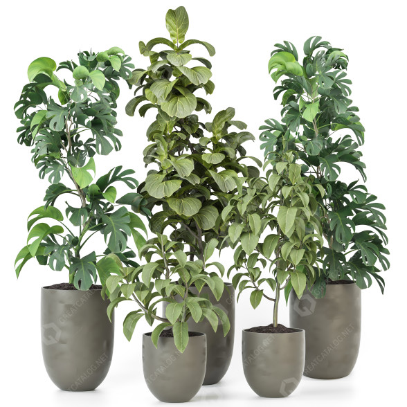 Plantes en pot Ensemble d'Intérieur 99 modèle 3D