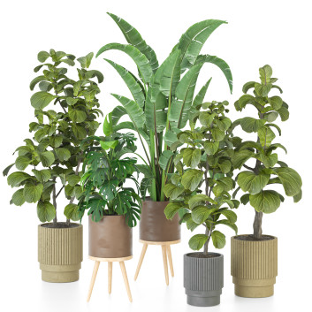 Plantes en pot  Ensemble d'Intérieur 100 Modèle 3D