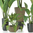 Plantes en pot Ensemble d'Intérieur 102 - uniquevry