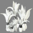 Plantes en pot Ensemble d'Intérieur 102 - uniquevry