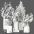 Plantes en pot Ensemble d'Intérieur 103 - uniquevry