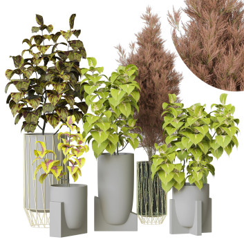 Plantes en pot  Ensemble d'Intérieur 103 Modèle 3D