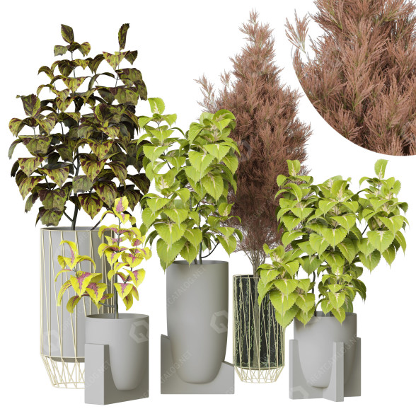 Plantes en pot Ensemble d'Intérieur 103 modèle 3D