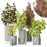 Plantes en pot Ensemble d'Intérieur 103 - uniquevry