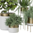 Plantes en pot Ensemble d'Intérieur 104 - uniquevry
