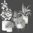 Plantes en pot Ensemble d'Intérieur 104 - uniquevry