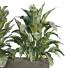 Bushes HQ Garden Box Outdoor Vol 38 - Pandora-land