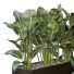 Bushes HQ Garden Box Outdoor Vol 38 - Pandora-land