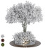 Arbre Ensemble de Collection 184 - mio