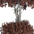 Arbre Ensemble de Collection 184 - mio