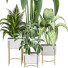 Plantes en pot Ensemble d'Intérieur 111 - uniquevry