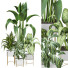 Plantes en pot Ensemble d'Intérieur 111 - uniquevry