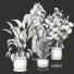 Plantas en macetas Conjunto de Interior 112 - uniquevry