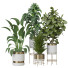 Plantas en macetas Conjunto de Interior 112 - uniquevry