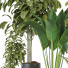Plantas en macetas Conjunto de Interior 113 - uniquevry