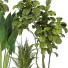 Plantas en macetas Conjunto de Interior 113 - uniquevry