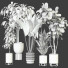 Plantas en macetas Conjunto de Interior 113 - uniquevry